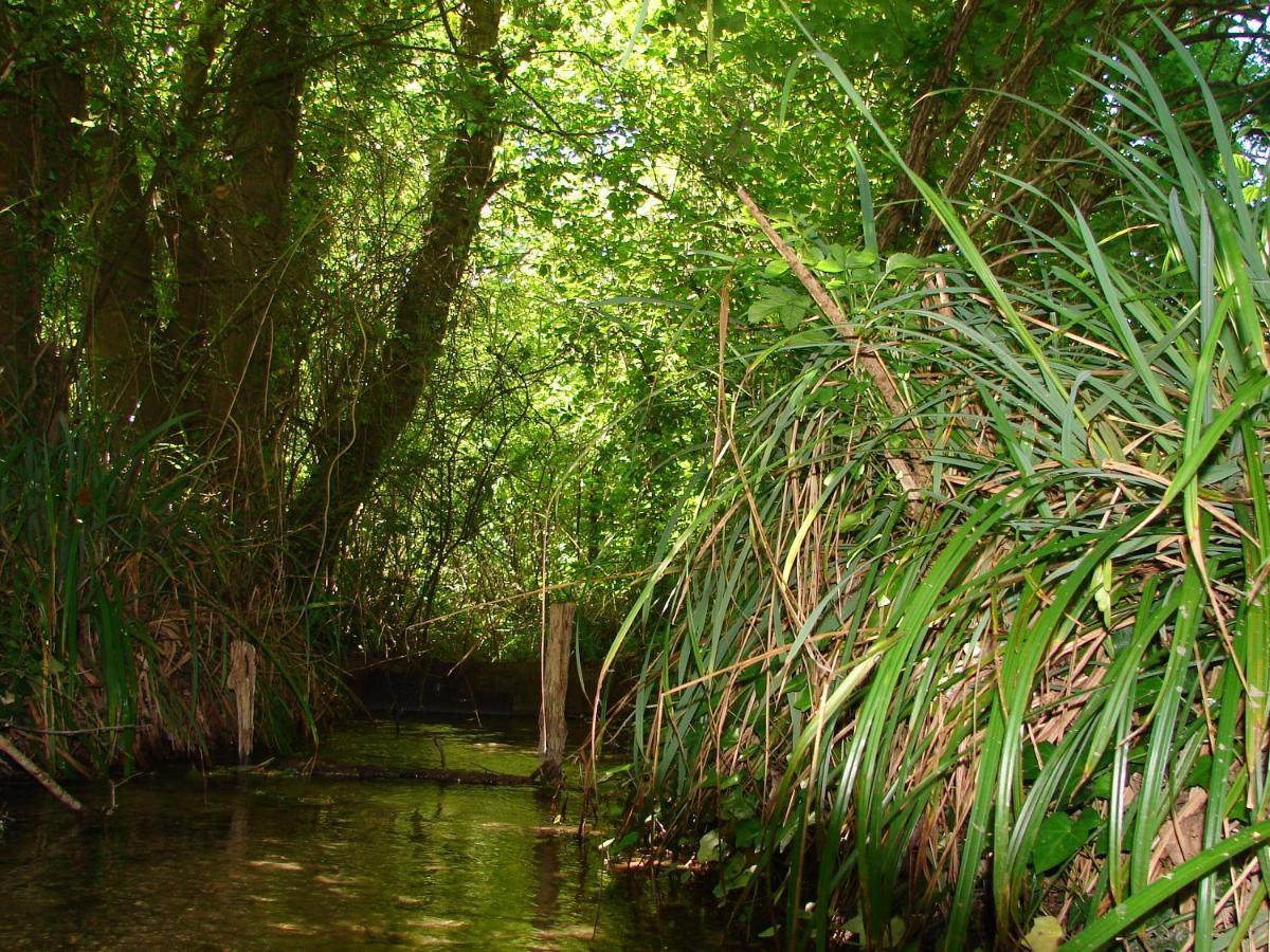 Mettez Vous Au Au Cœur De La Charente Maritime Hébergement de vacances Saint-Germain-de-Marencennes